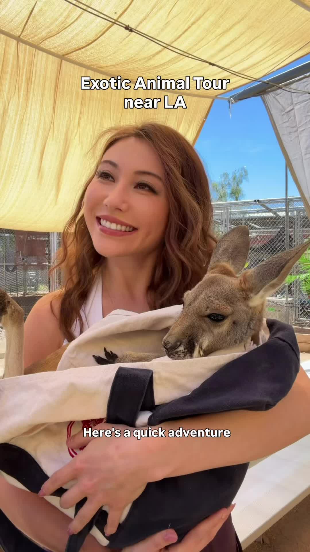 @Sasha Emiri