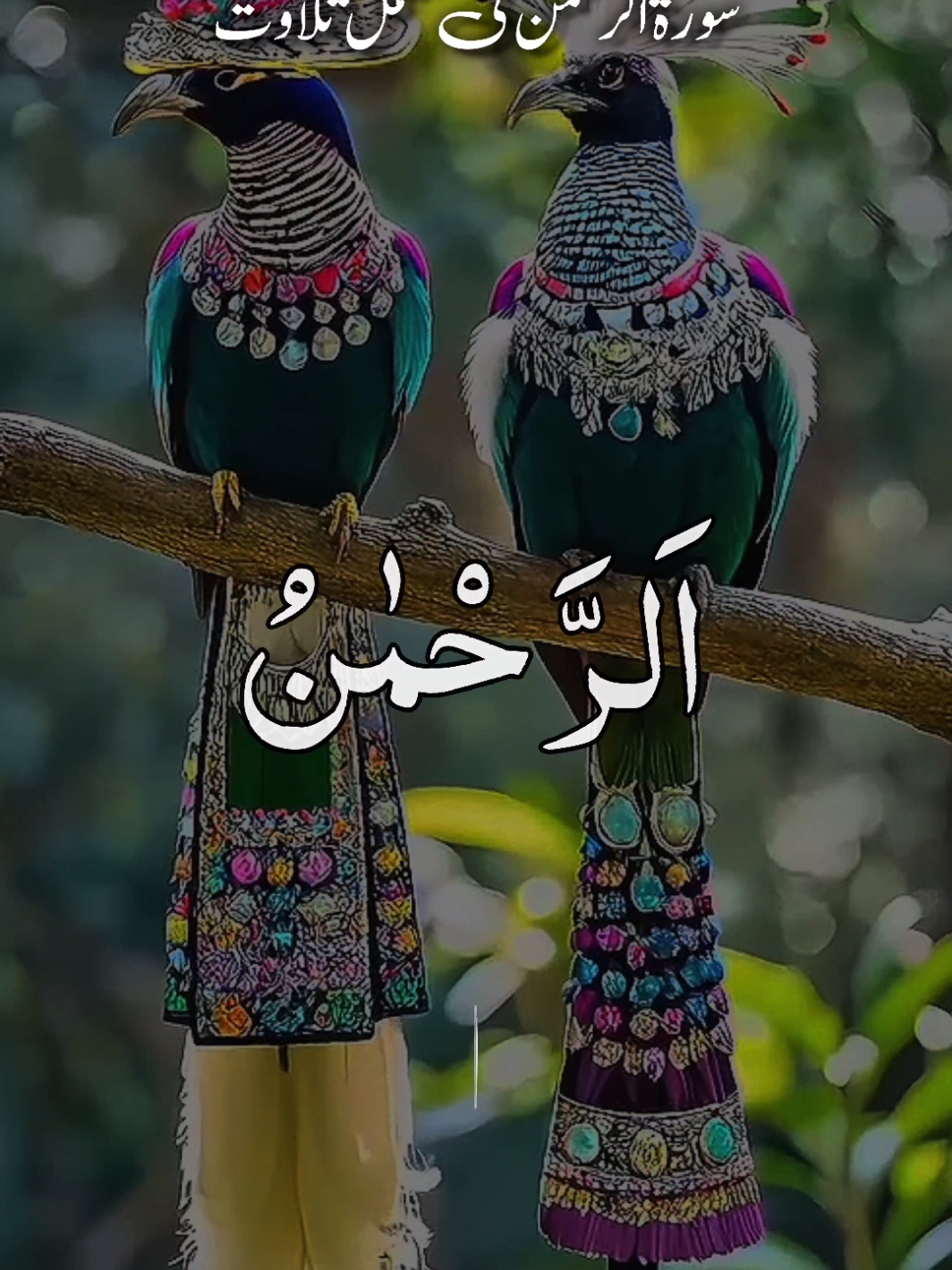 @❣️ Words of Allah ❣️