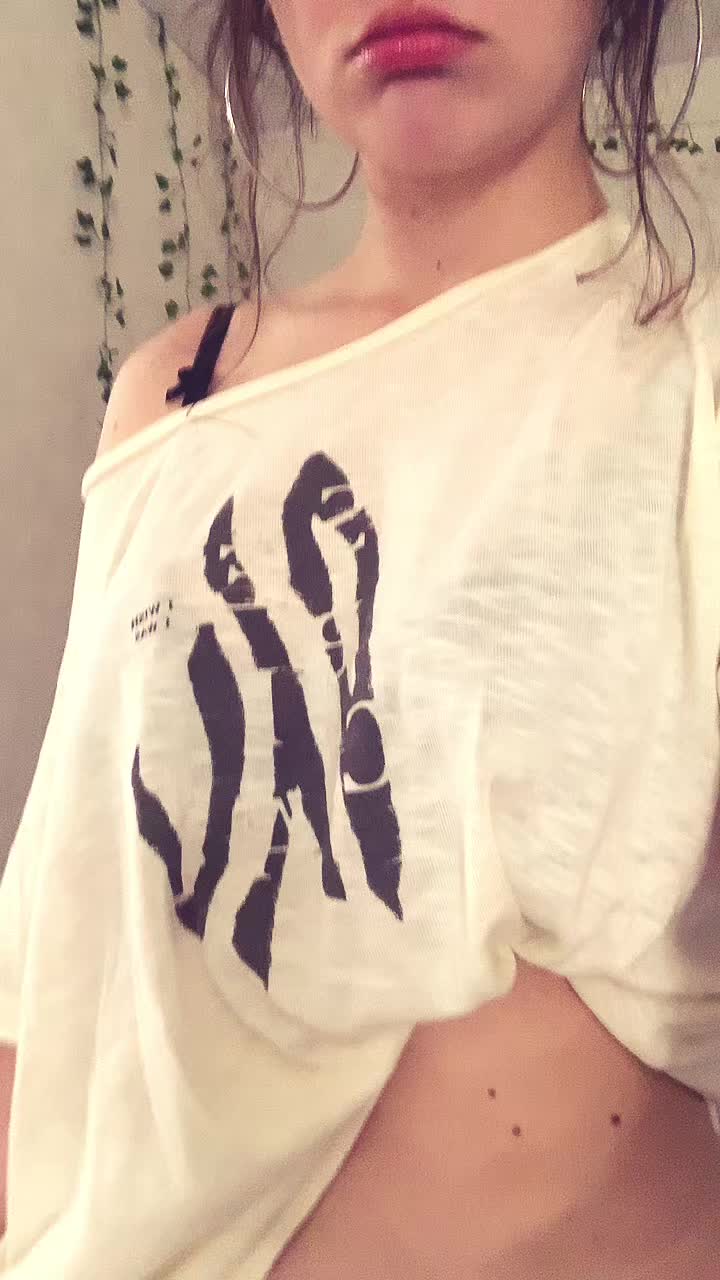 @кот нуар