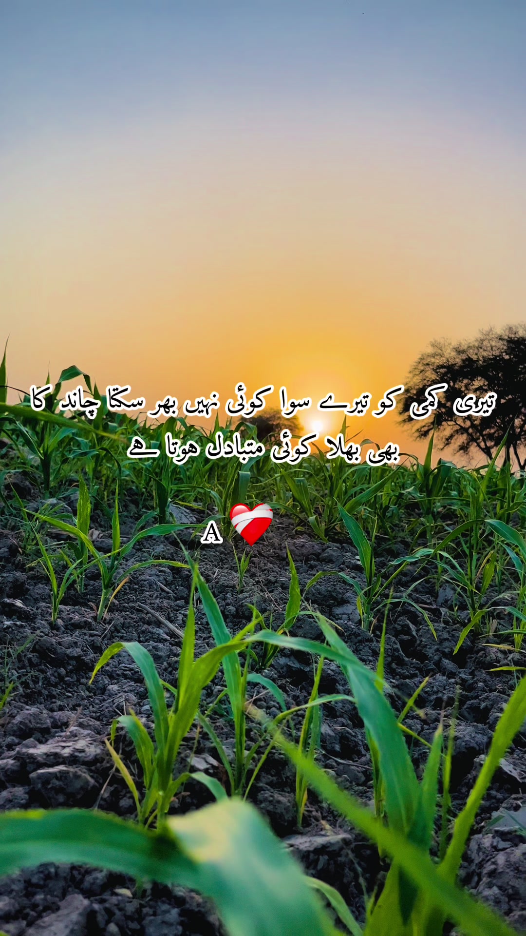 @Sakhawat Hussain