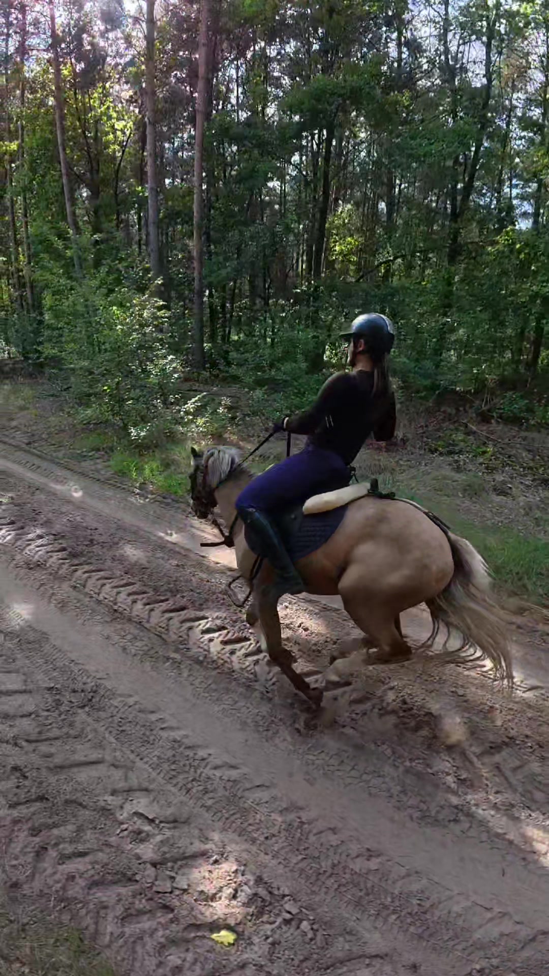@Stajnia Pod Kasztanem 🇵🇱