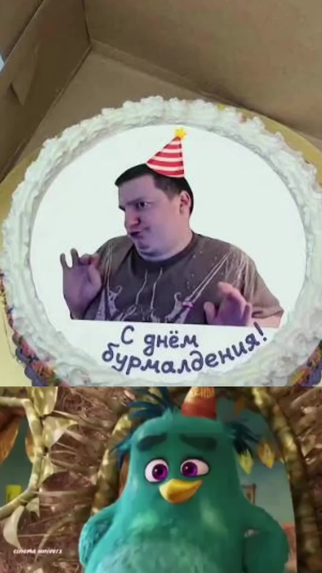 @заяц бурмалдаец