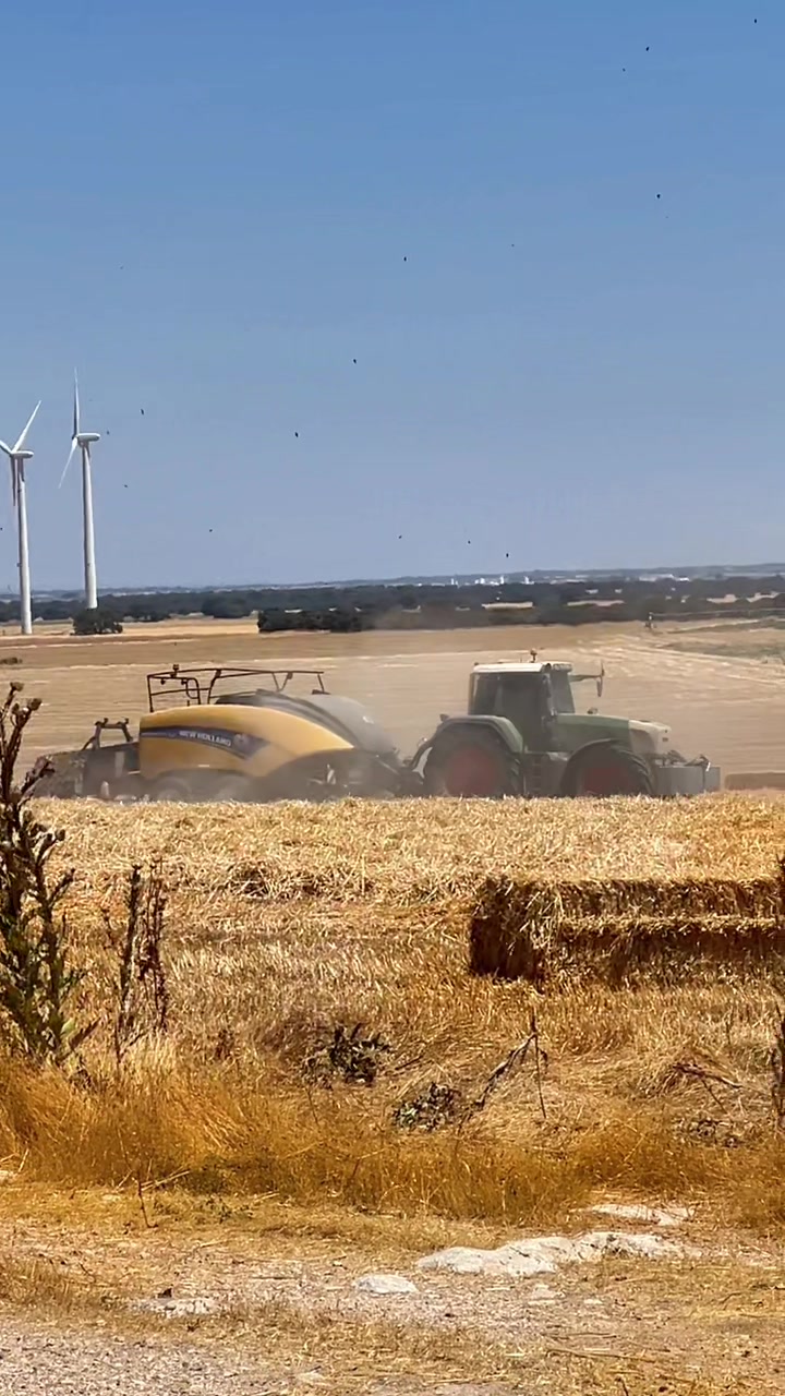 @Jota Agricultura