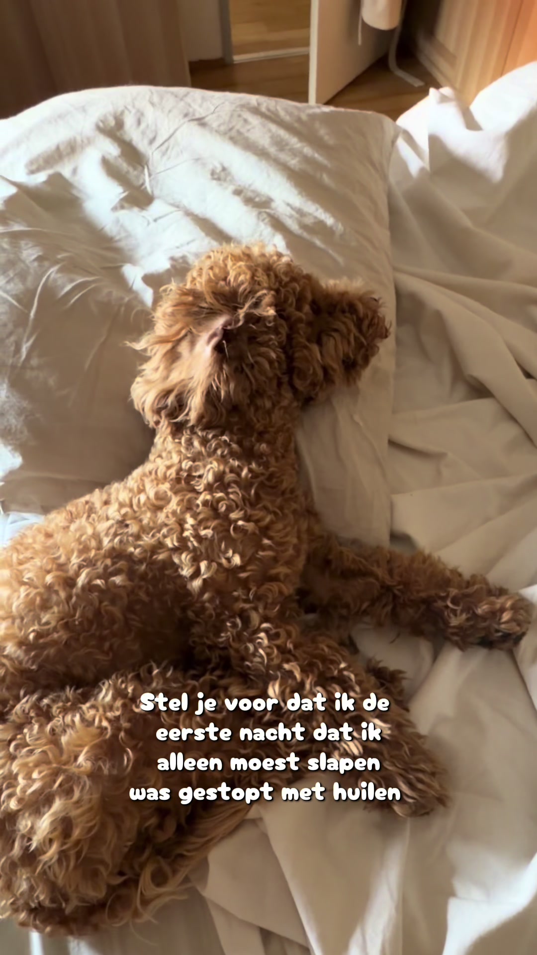 @therese.claessens