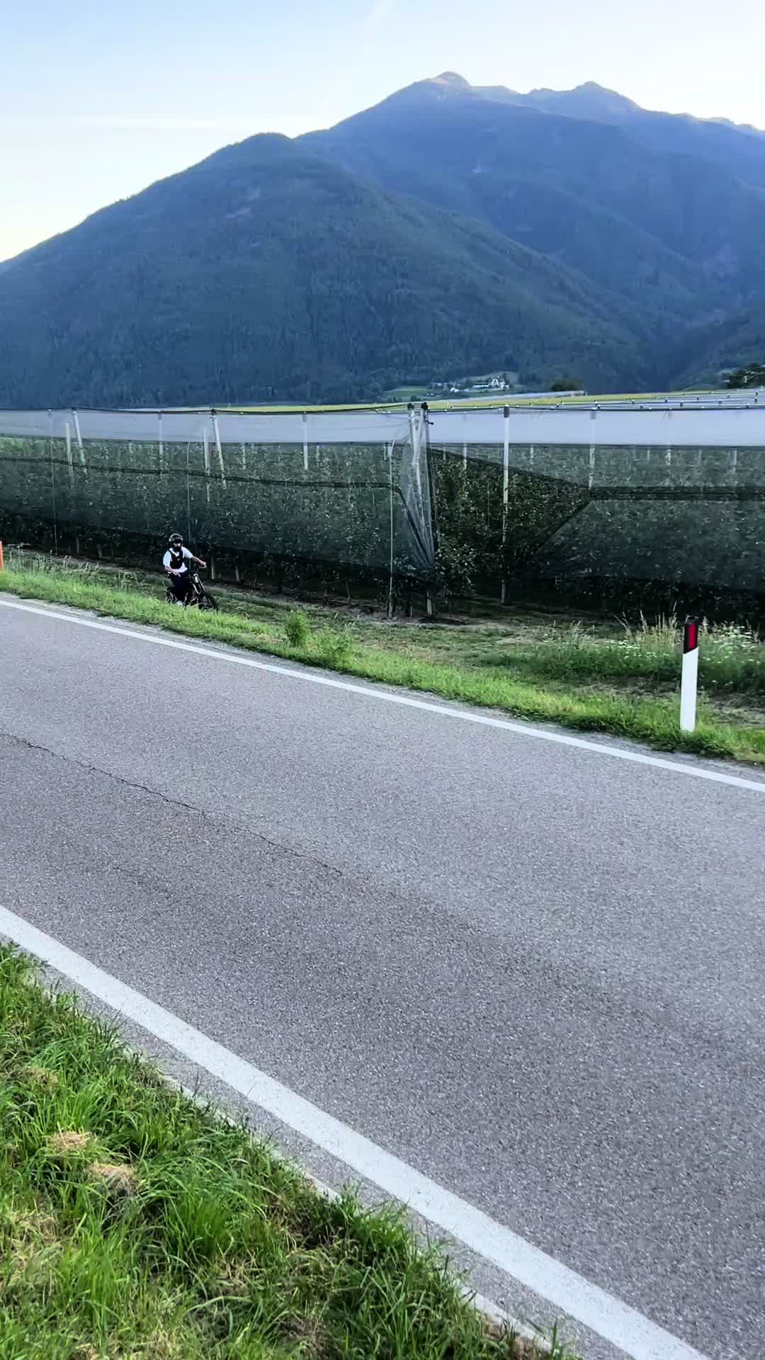 @MX4 Trex