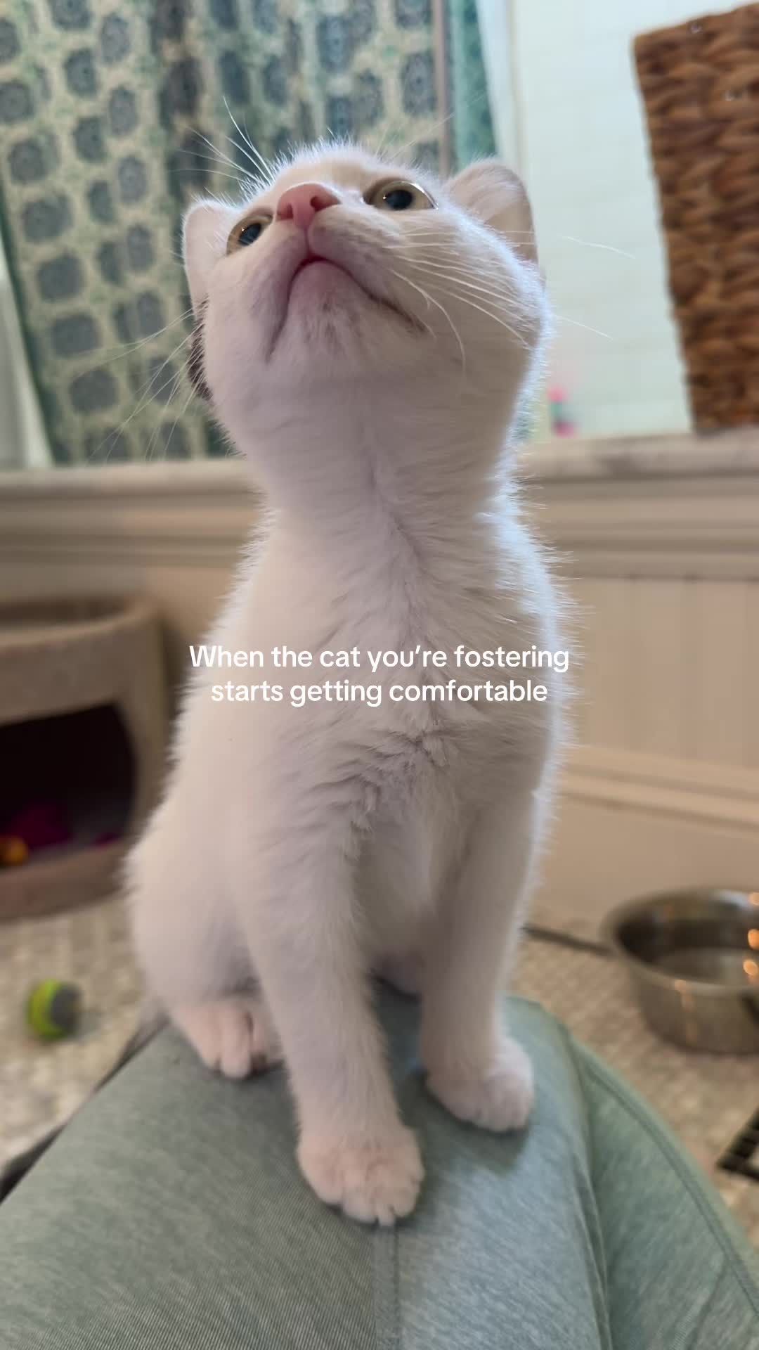 @Lo🌈