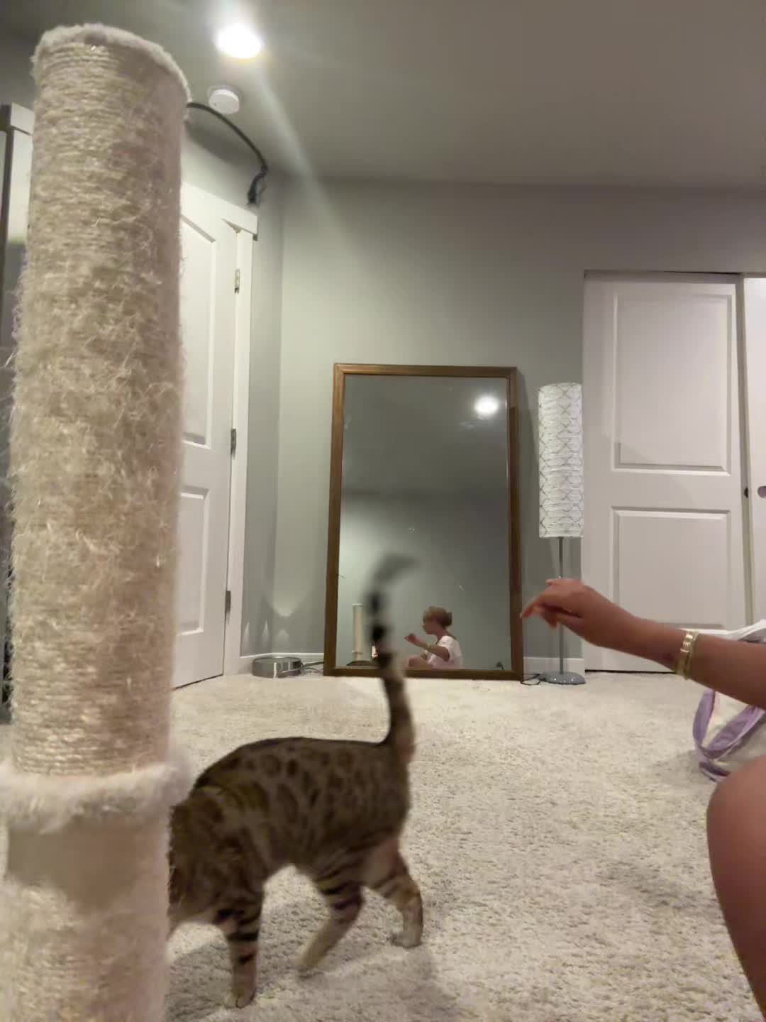 @brennannn