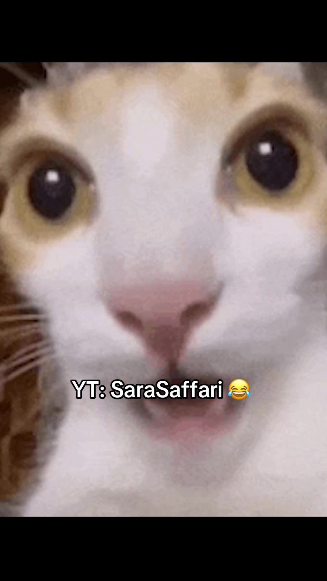@sara