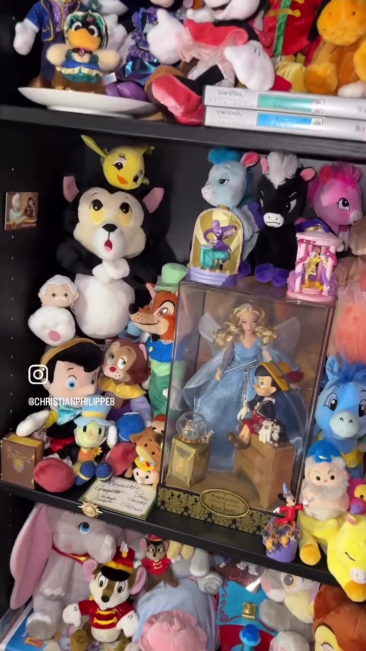 @Disney Dreamer