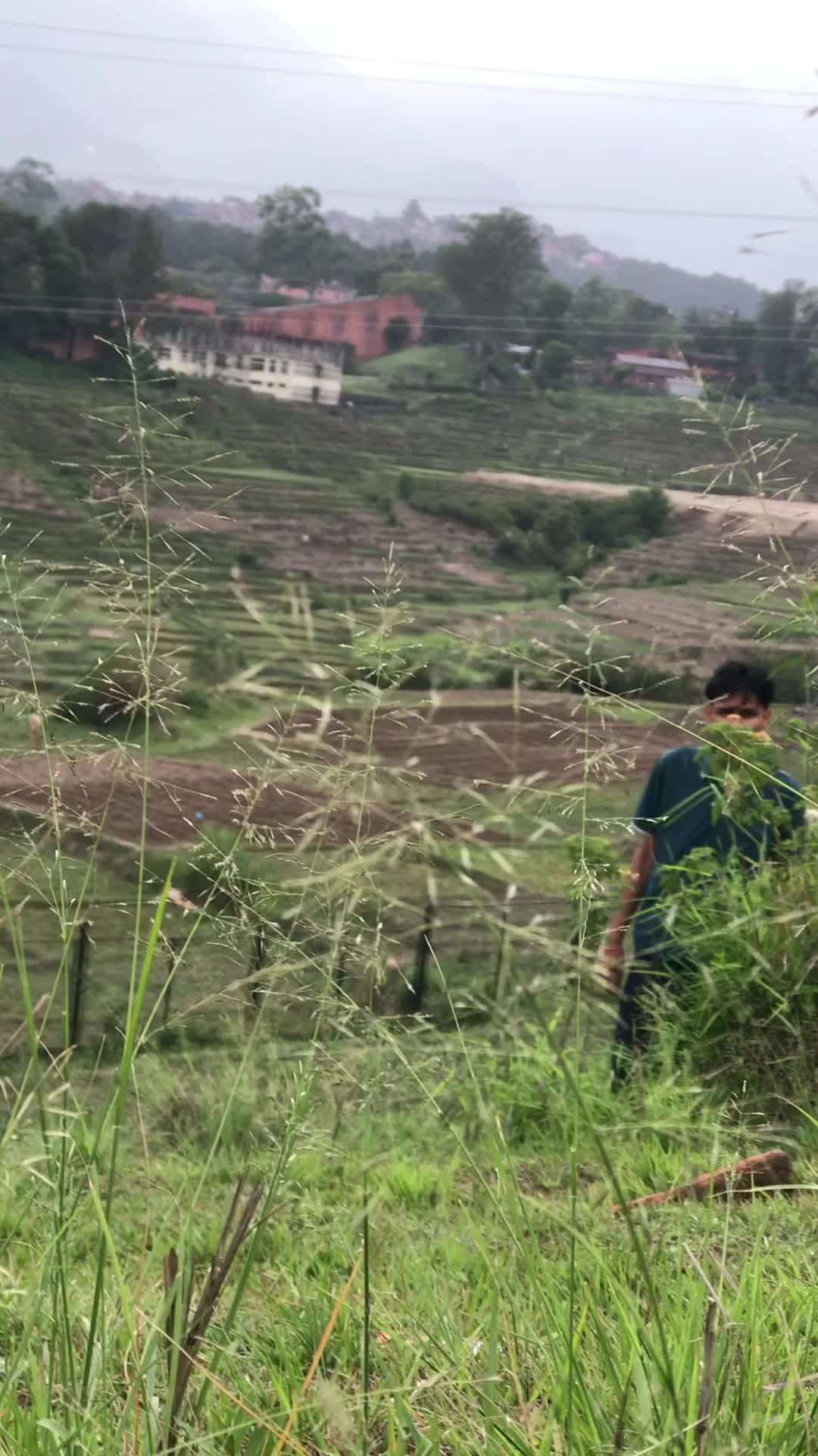 @K2🌿