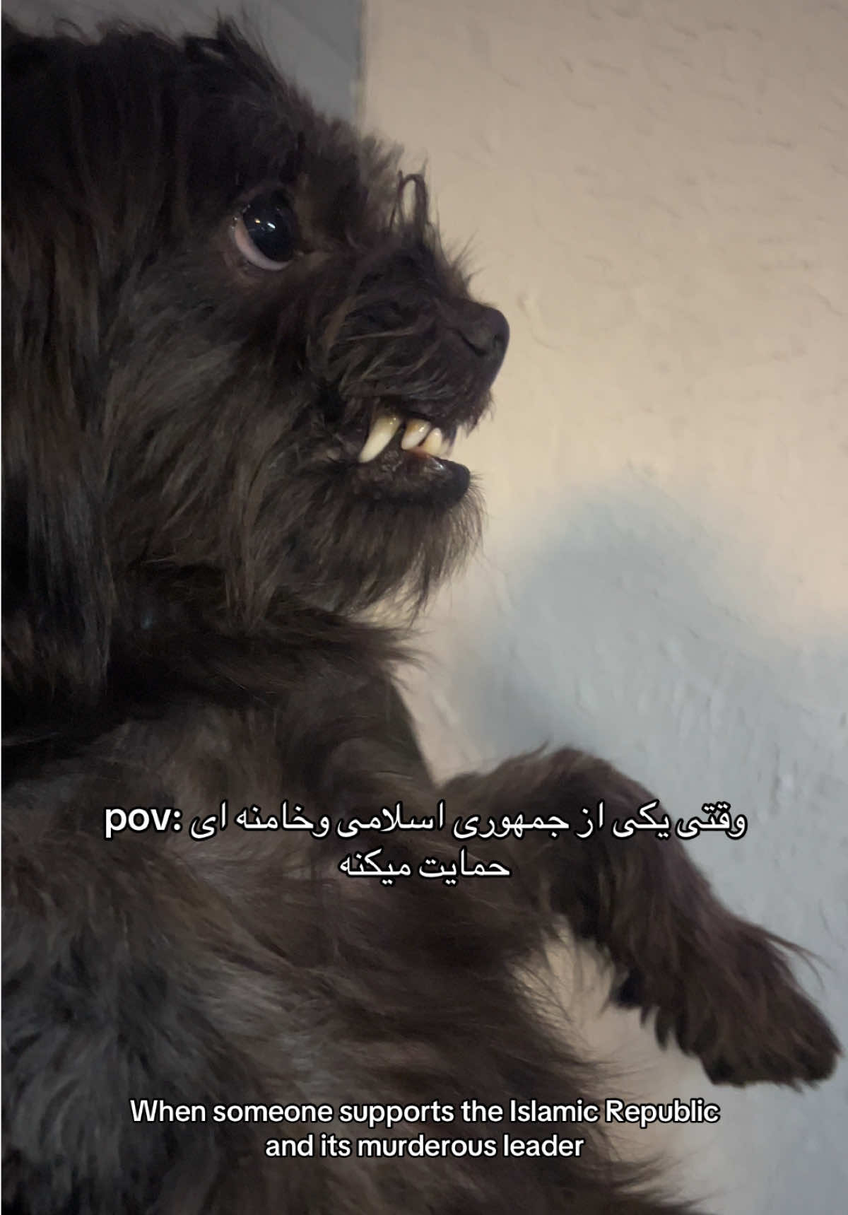 @sajad sabah