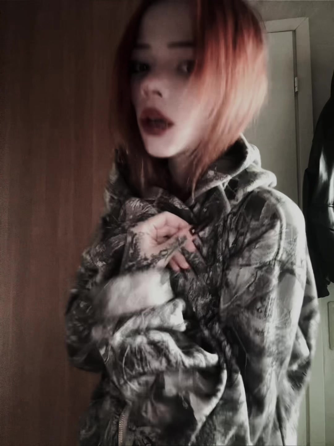 @чихуахуа