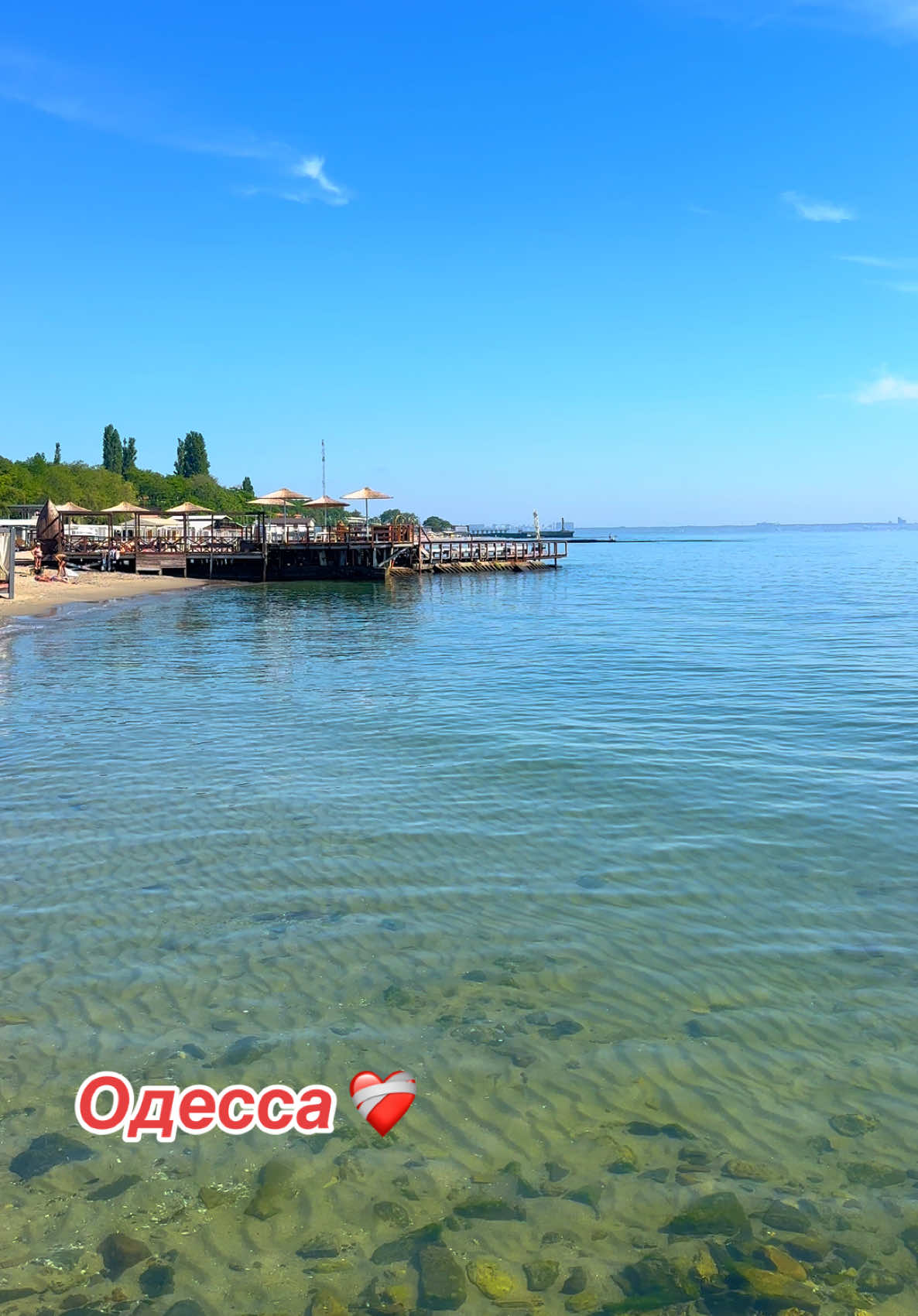 @OdessiT🇺🇦