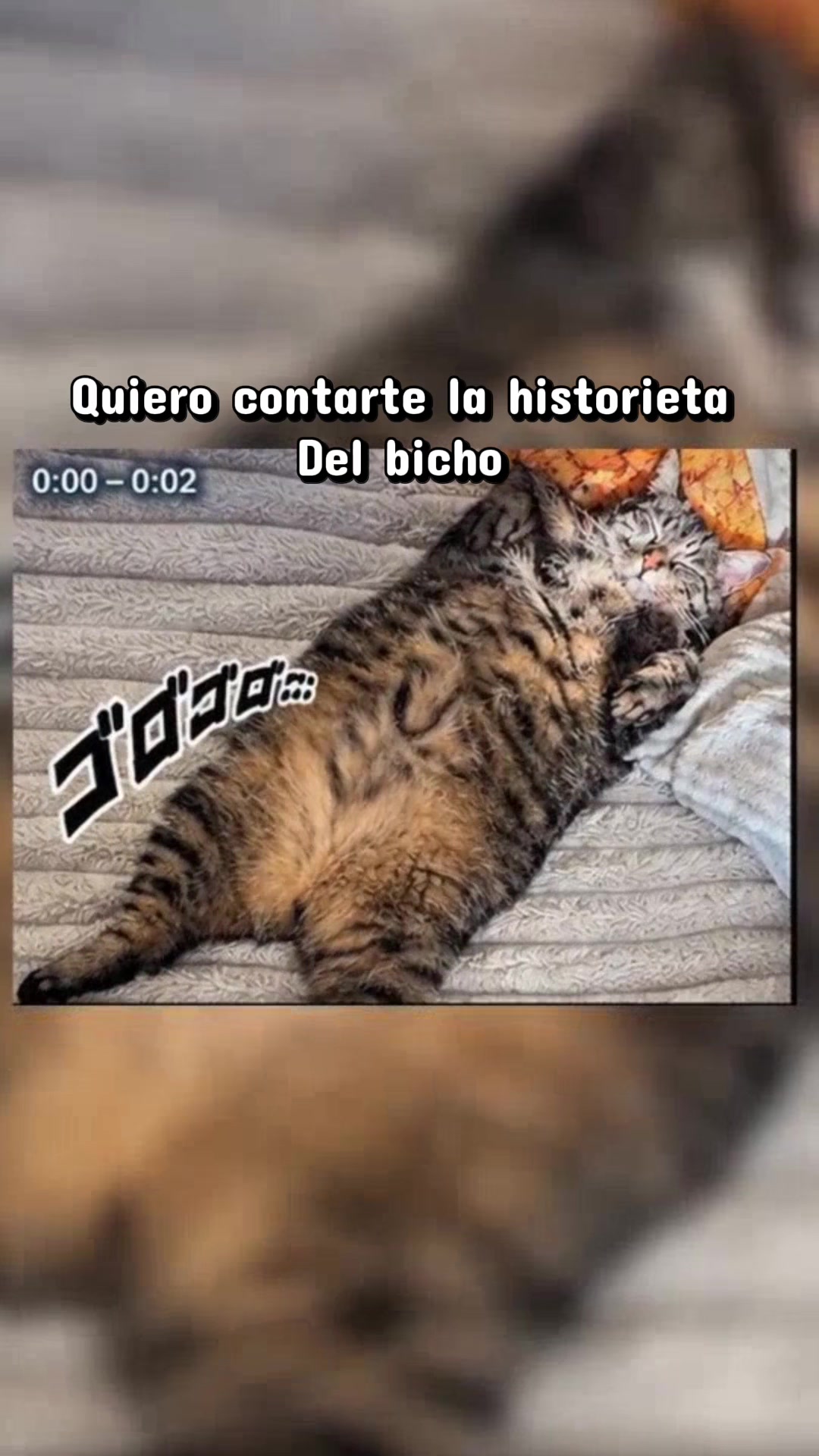 @Maggie Americano