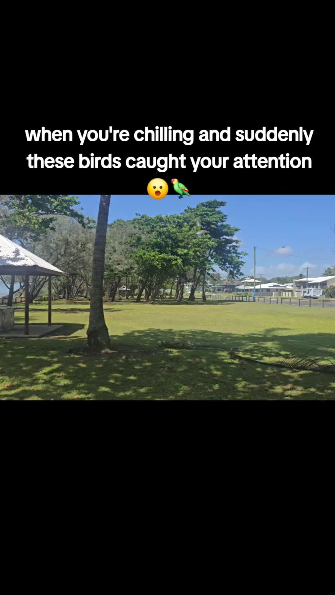 @Q-wanderer in 🇦🇺