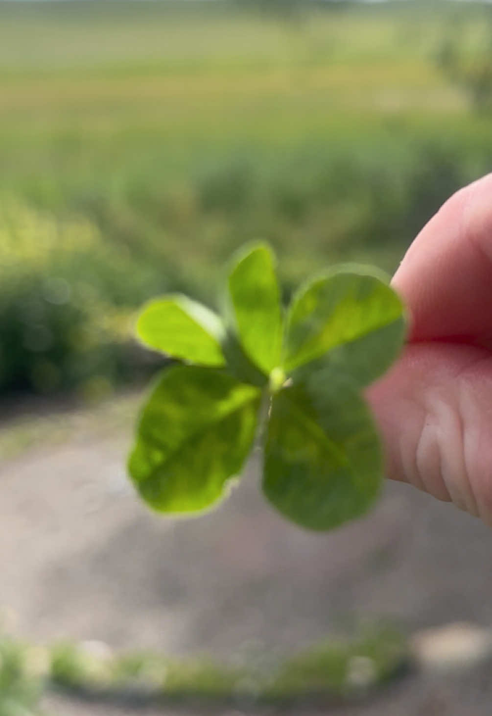 @Britt🍀