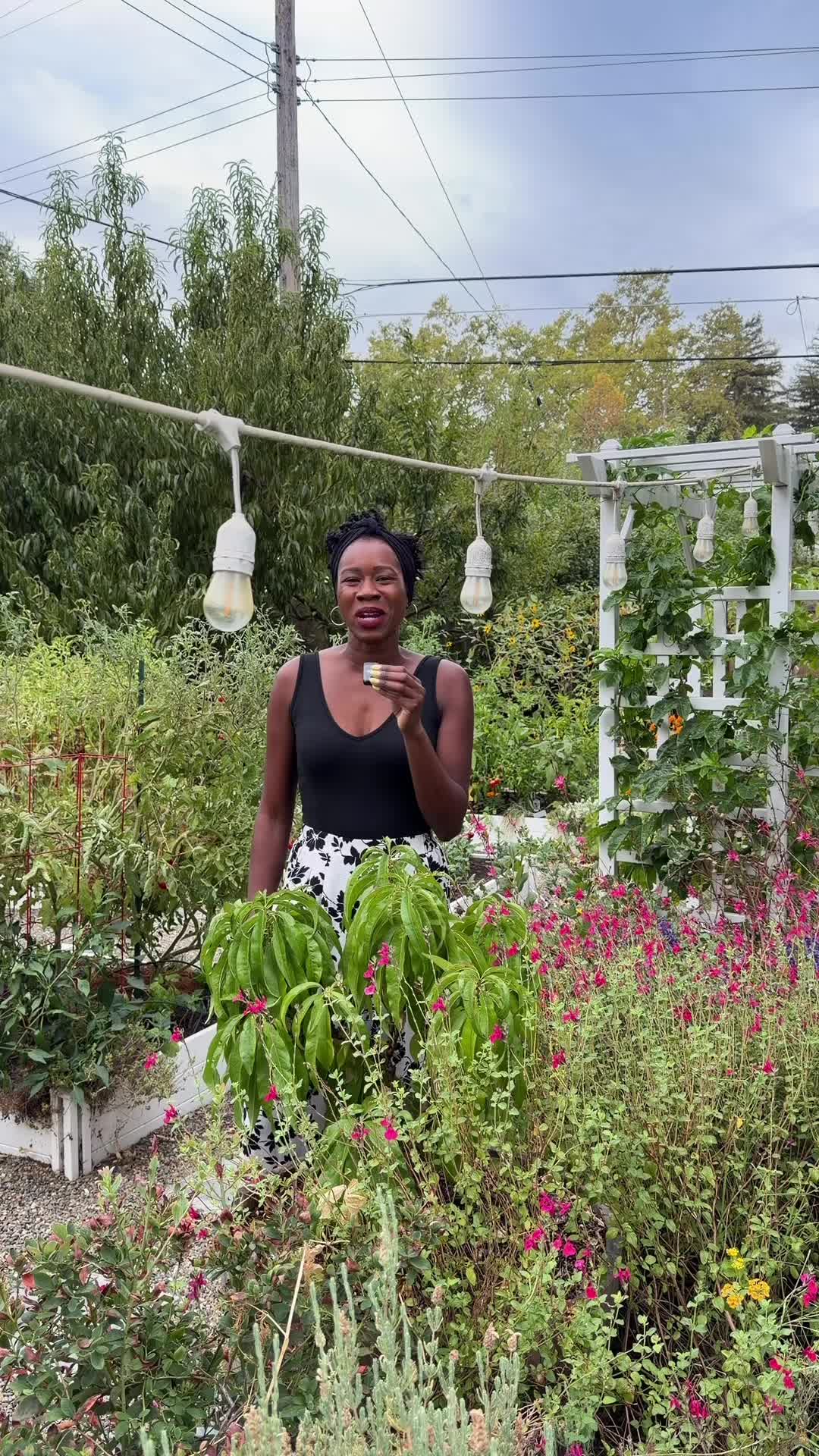 @curlycultivators