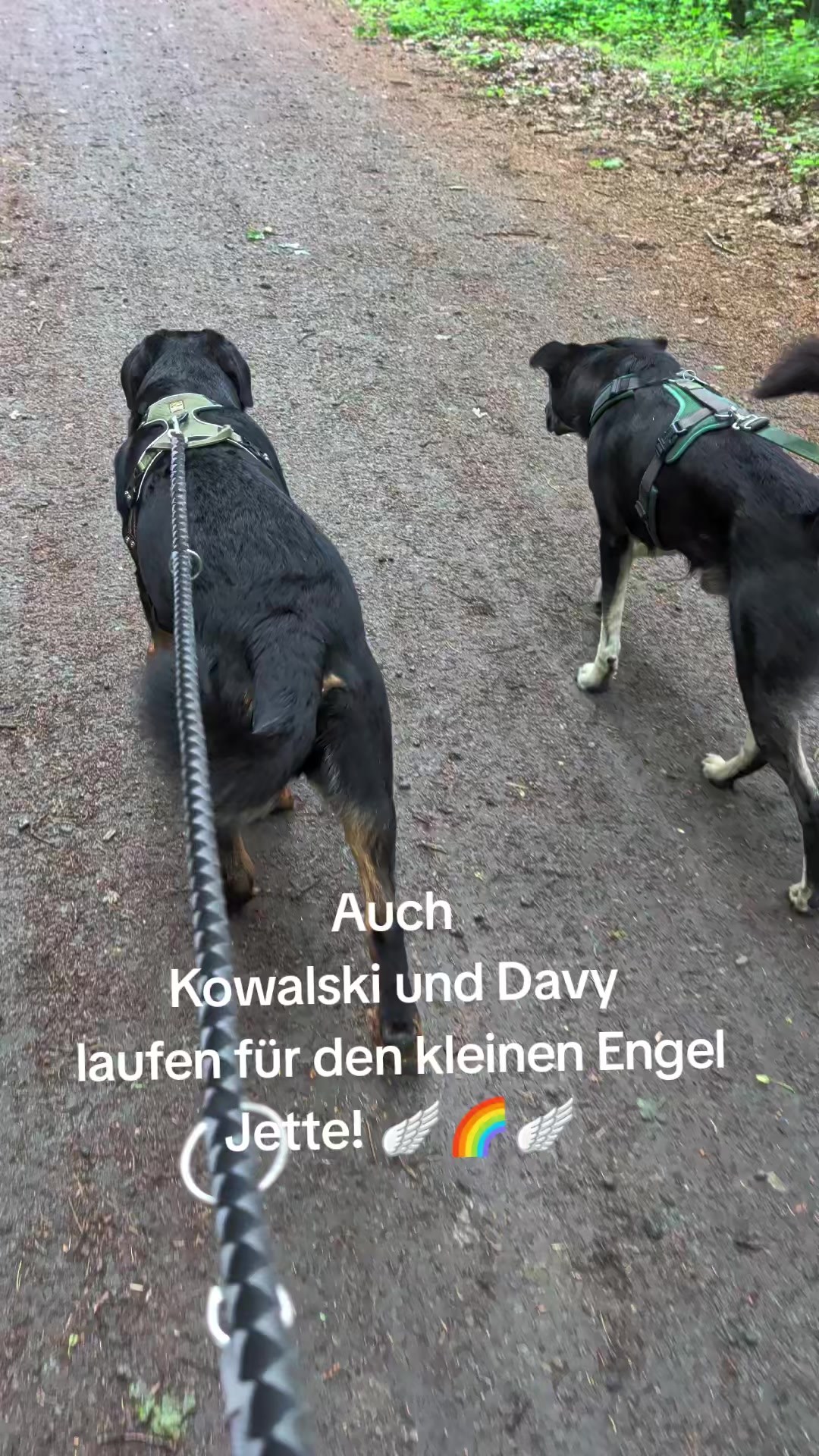 @Nicole❤️Schr&ouml;der🖤Kowalski ❤️