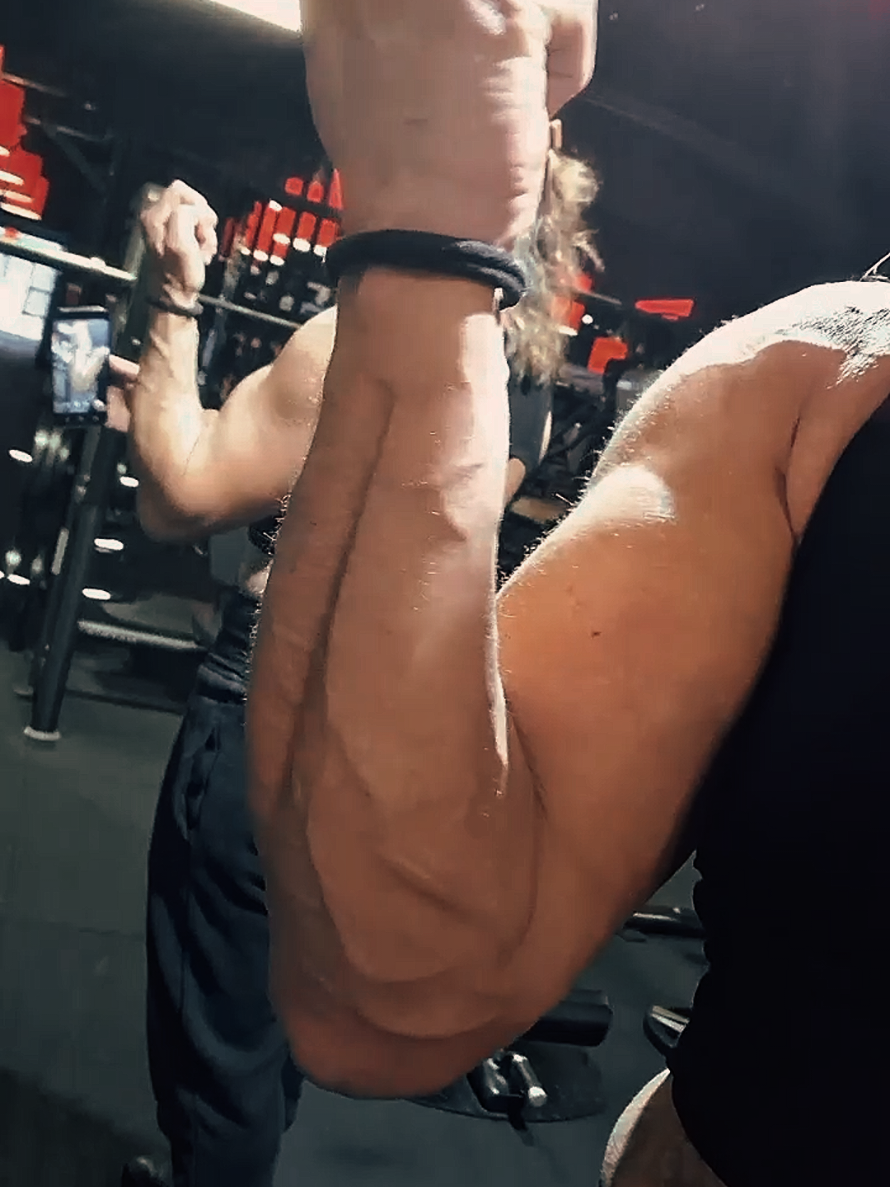 @🤛MuscleGrannyGeess 🤜