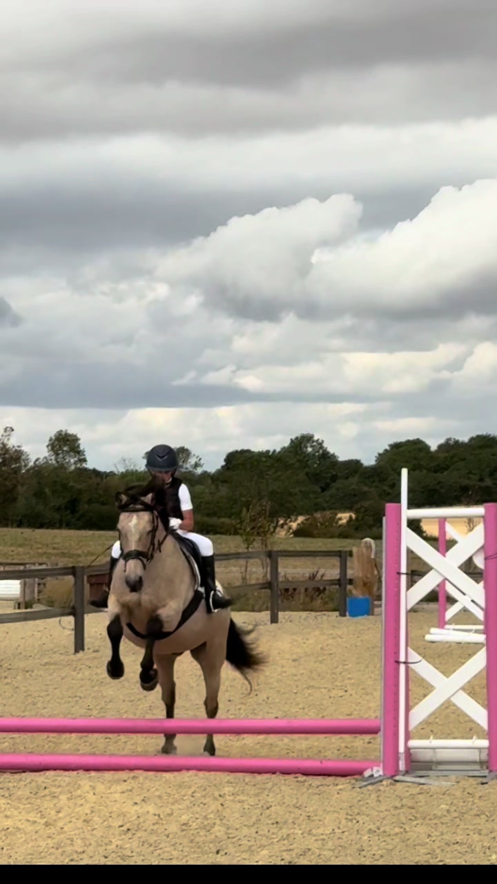 @Bronte&Alfie🍳🤎🐴