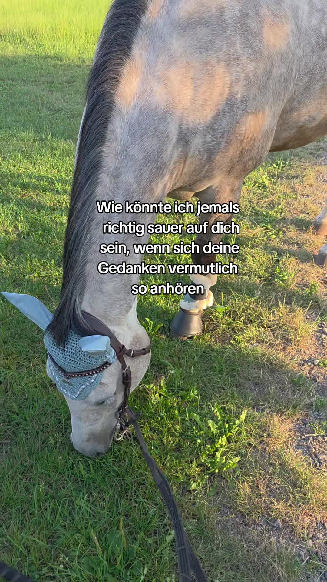 @Keckskrummel🍪