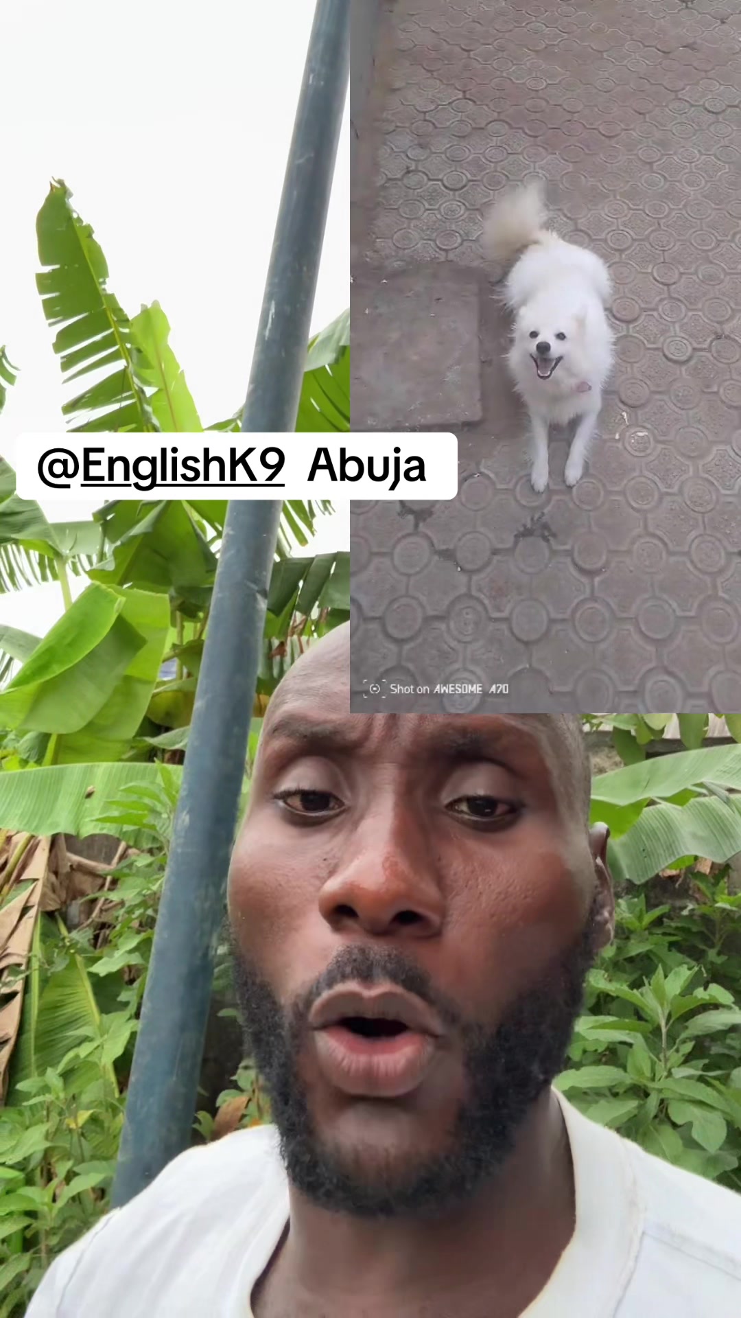 @Mothersheila_DogTv