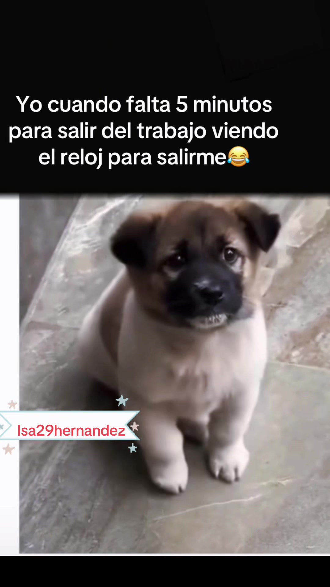@Isa29Hernandez
