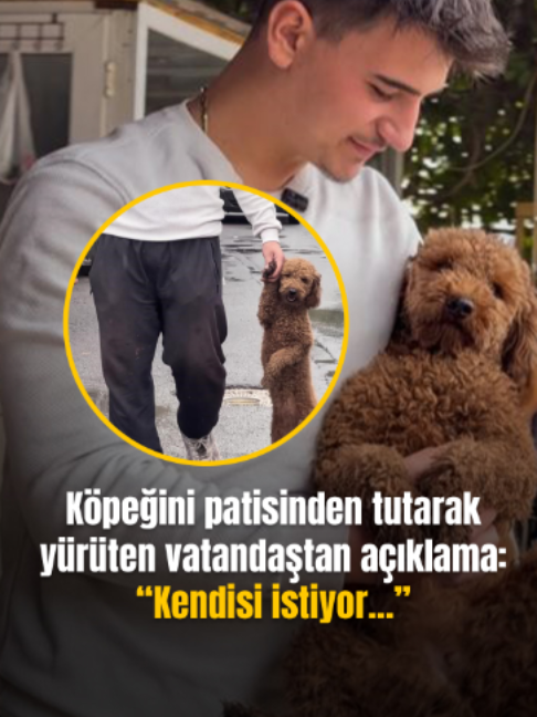 @Mynet