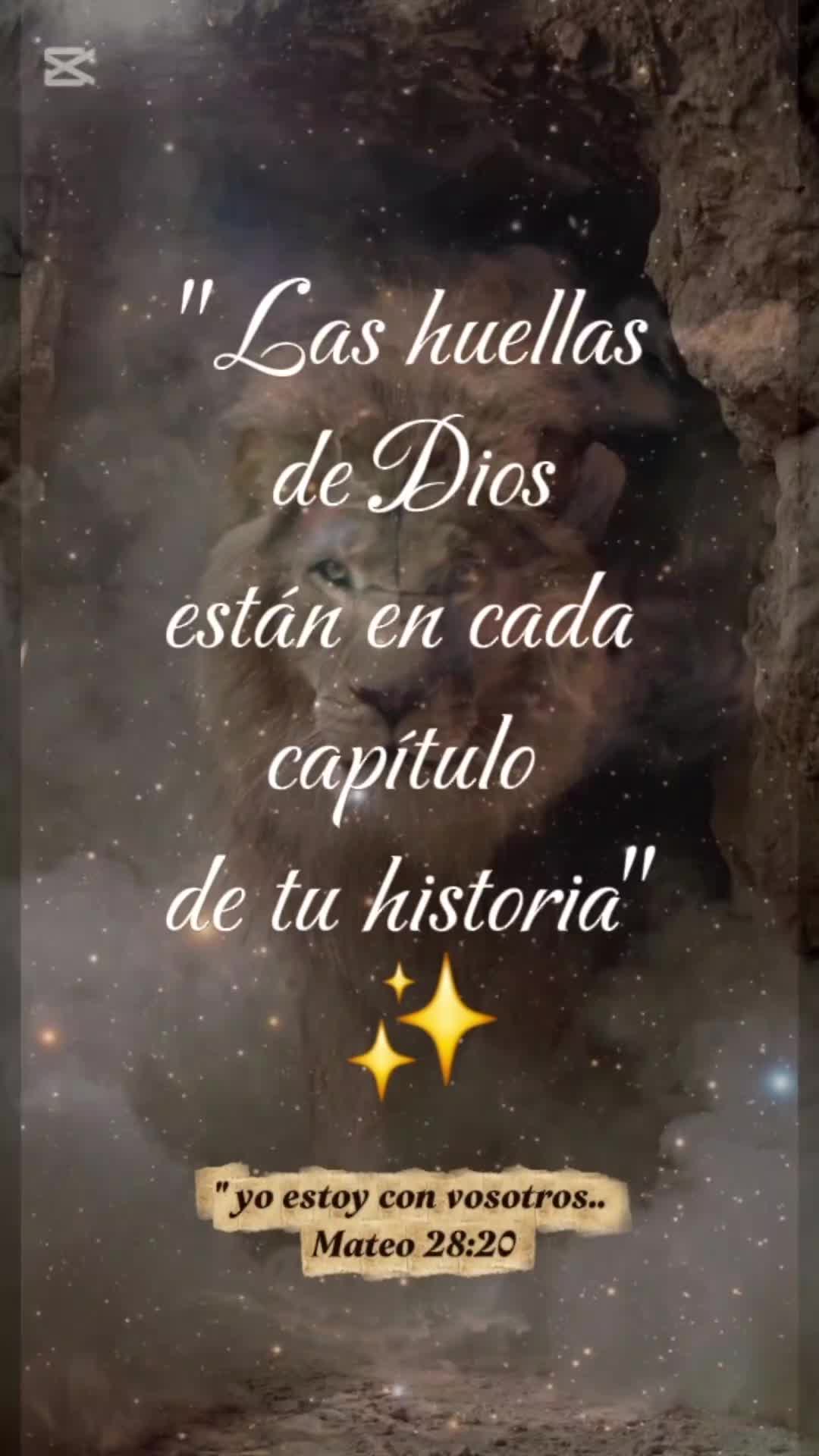 @Verito