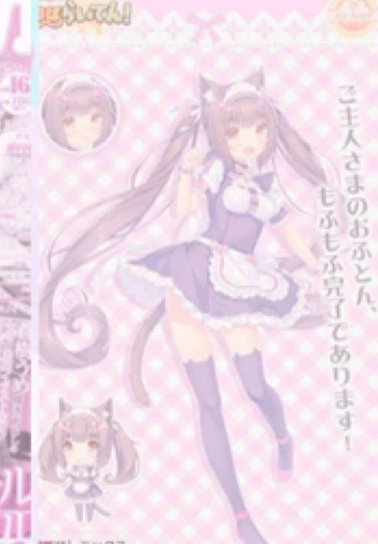 @𐔌 .┆ 🍃🌸 ⌗ W1NT3R ! ୧🌸🌷