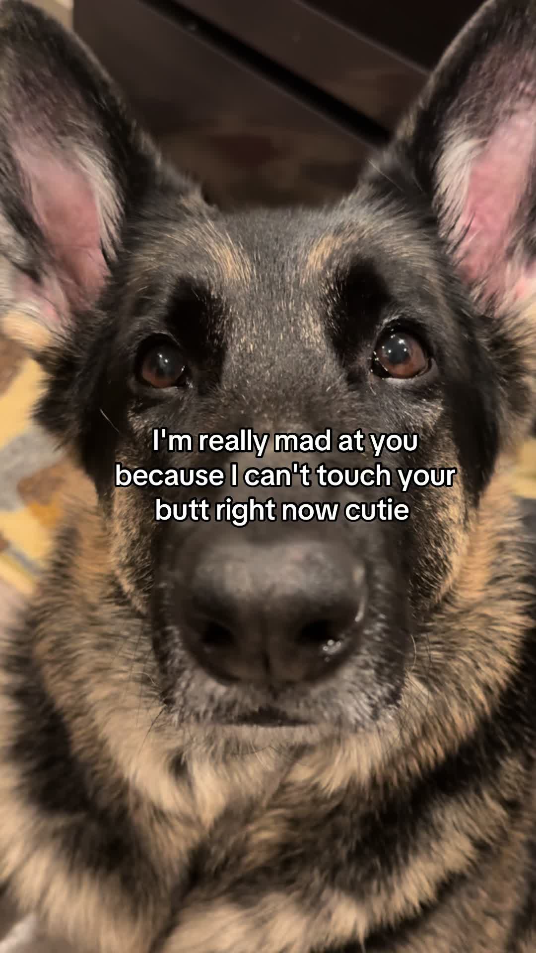 @Bhris