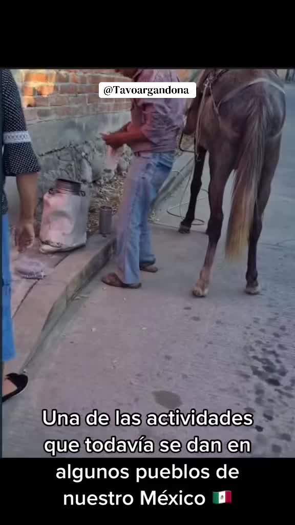 @Tavo argando&ntilde;a .