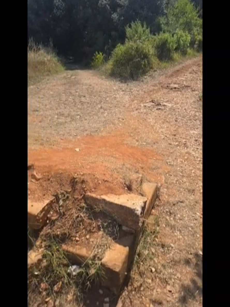 @np_mtb