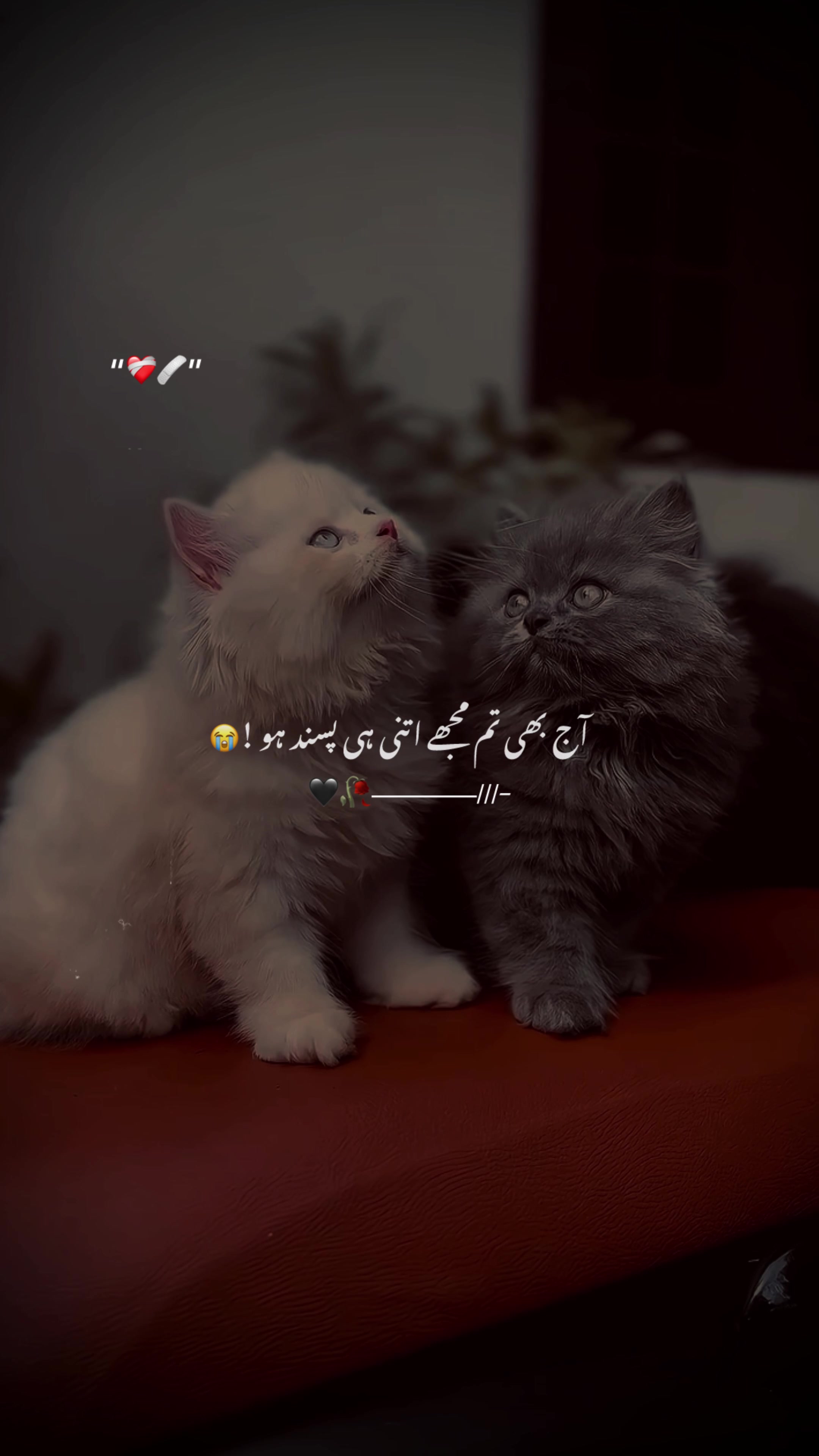 @♡︎𝗔𝗦𝗟𝗔𝗠_𝗘𝗗𝗜𝗧𝗫 ⋆⟡♡