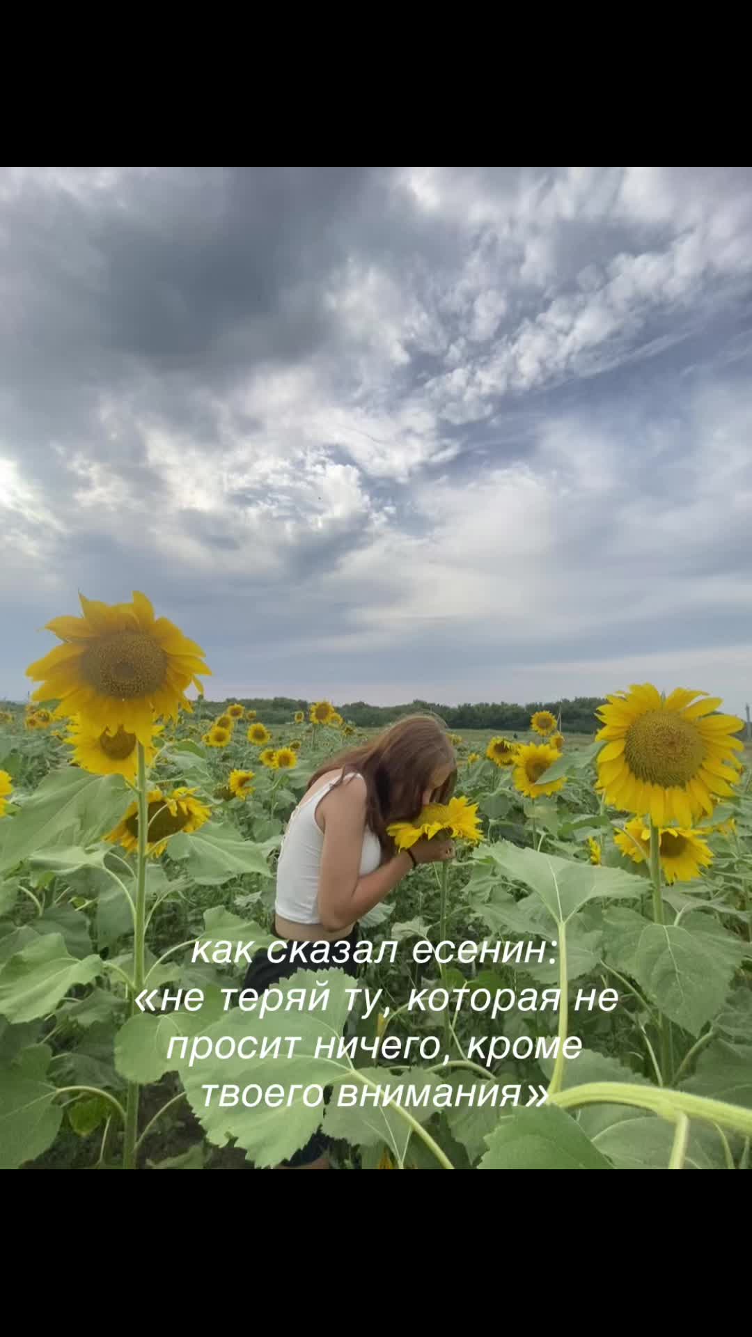 @ekaterinka330