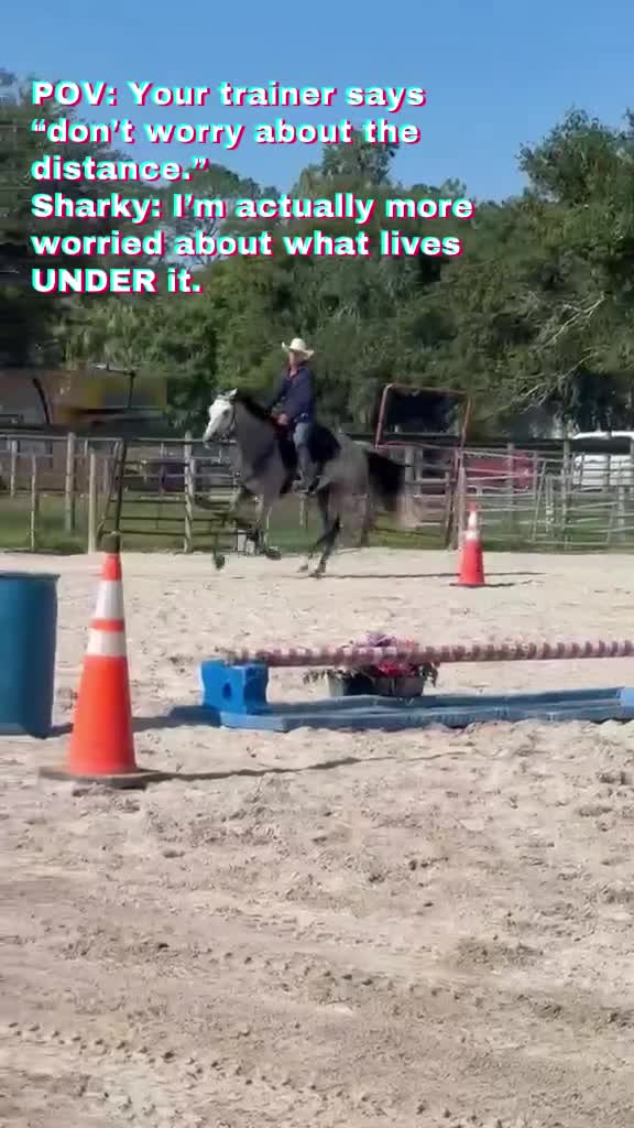 @Duyn Equine Horse Training
