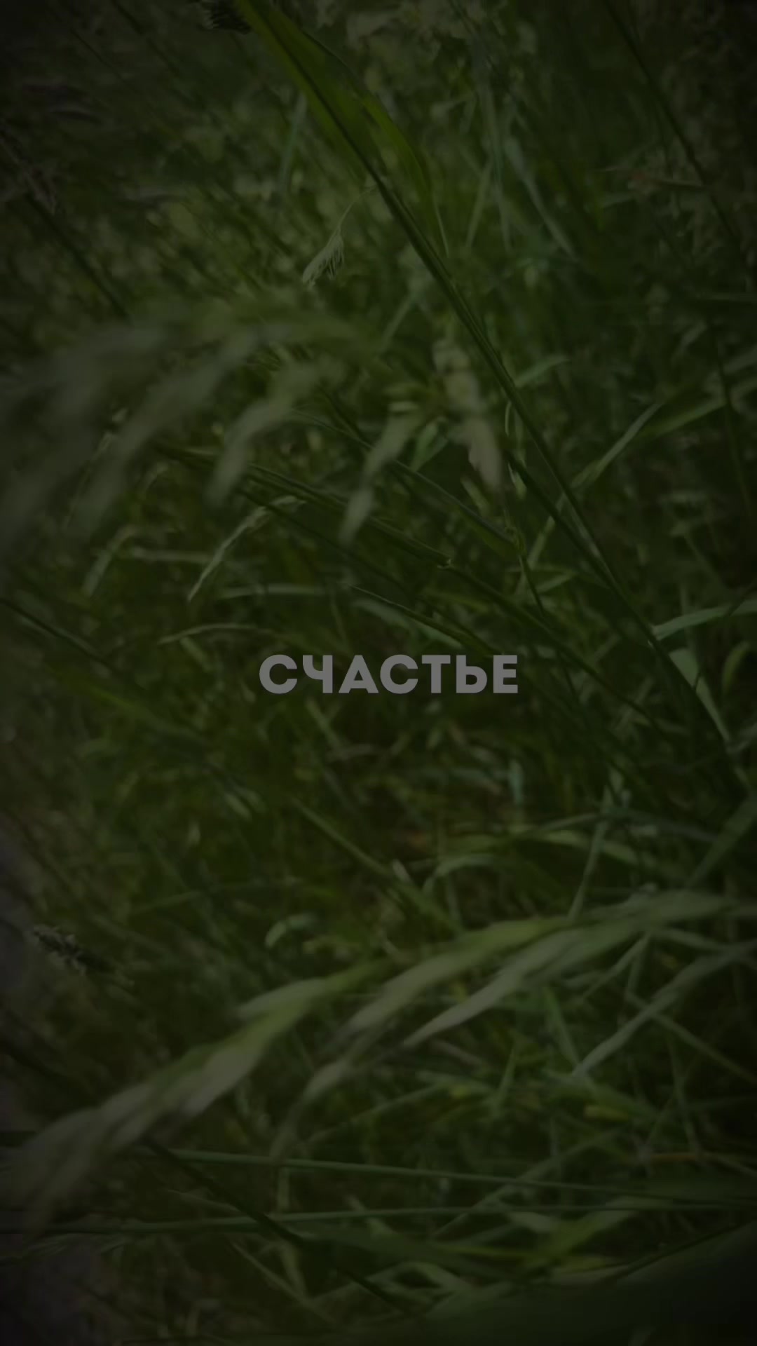@🔥𝓞ля🔥