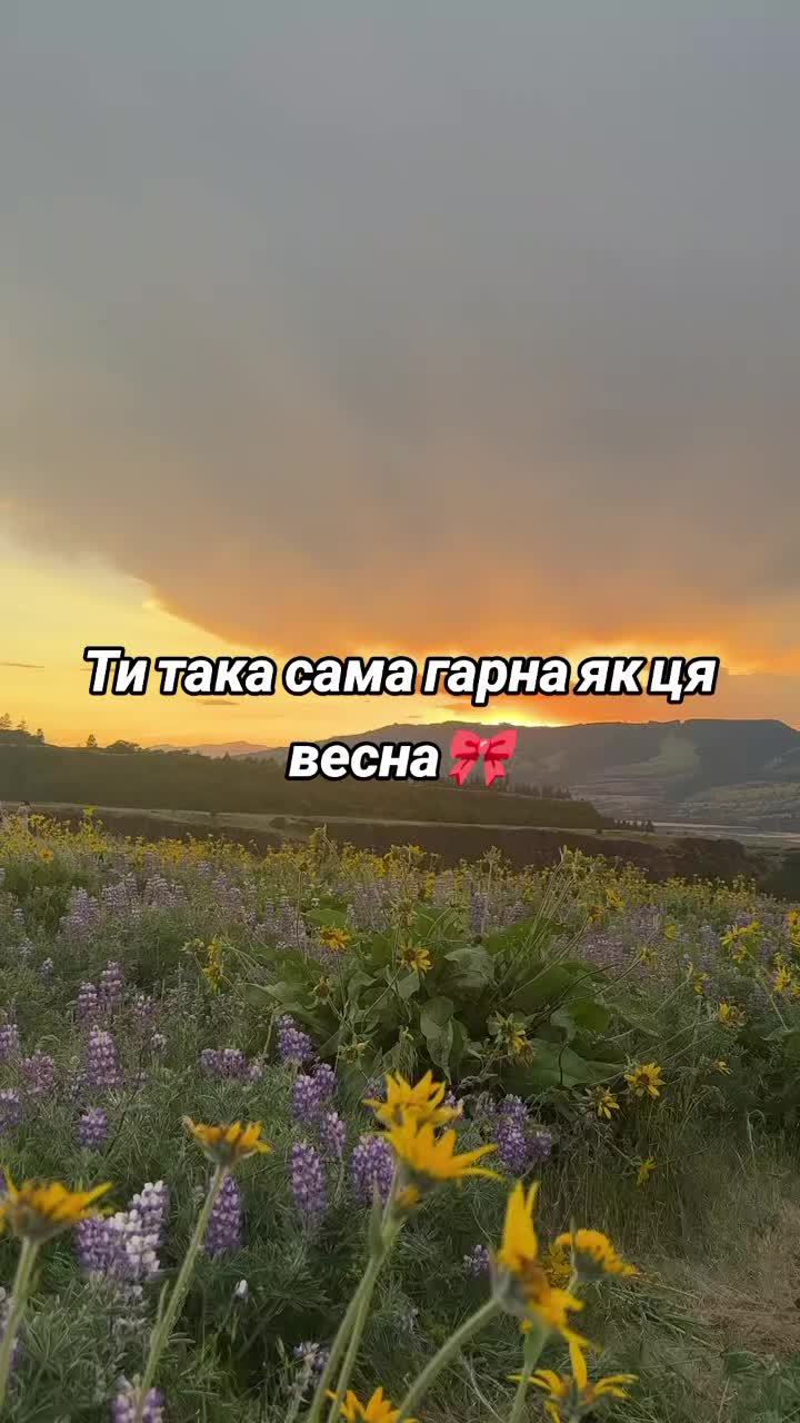 @𝒴𝓀𝓅𝒶𝒾̈ℋ𝓀𝒶