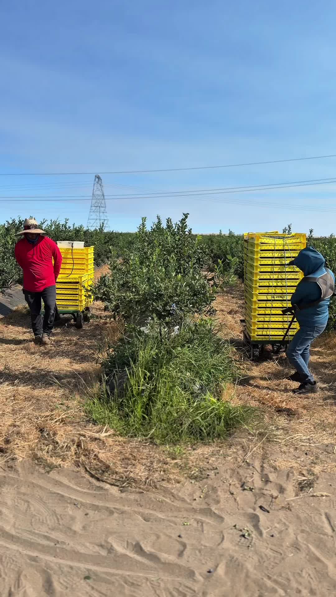 @Puros Trabajadores