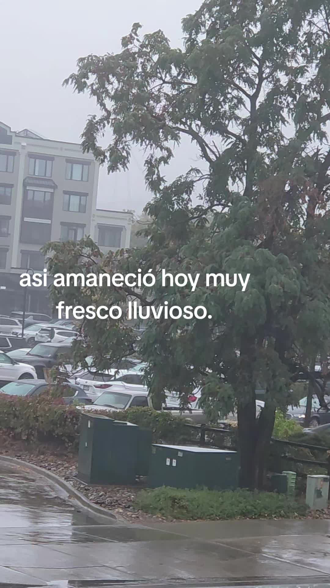 @Liliana