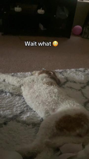 @thatblonde__1.0