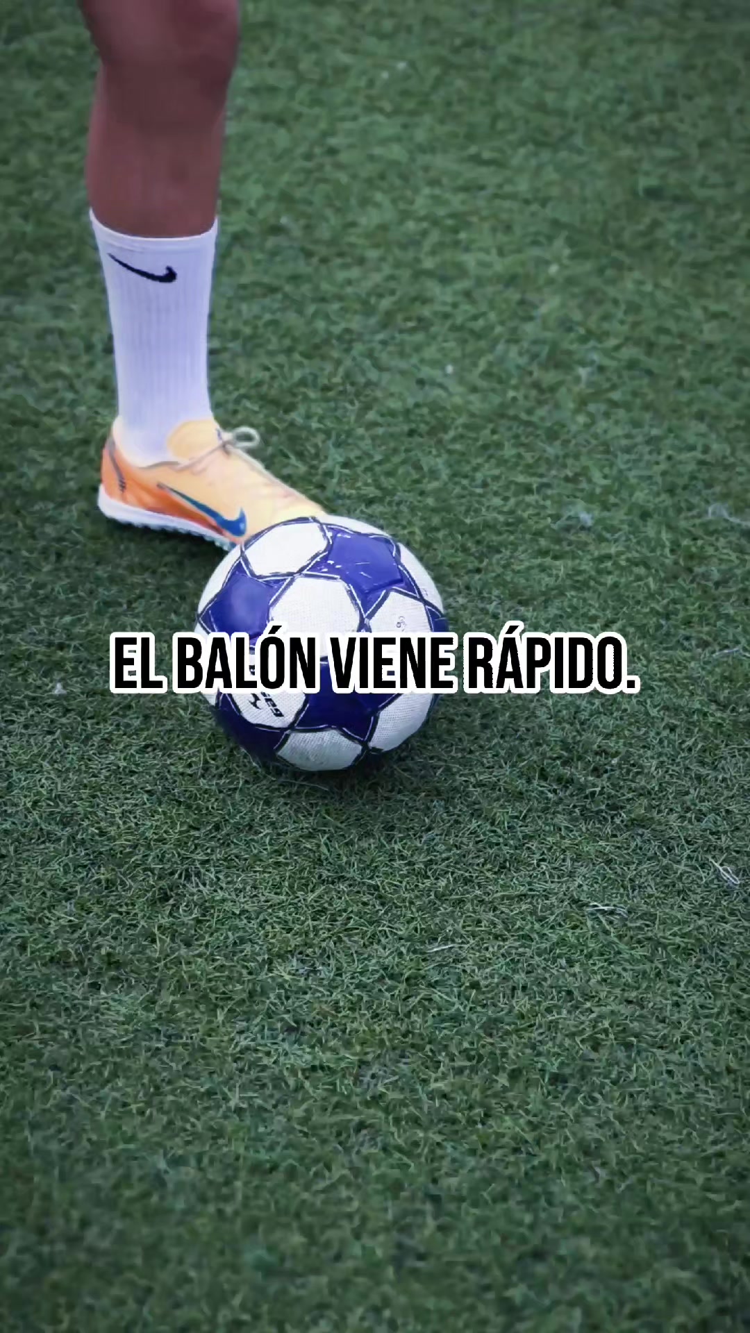 @Leones del Inglés