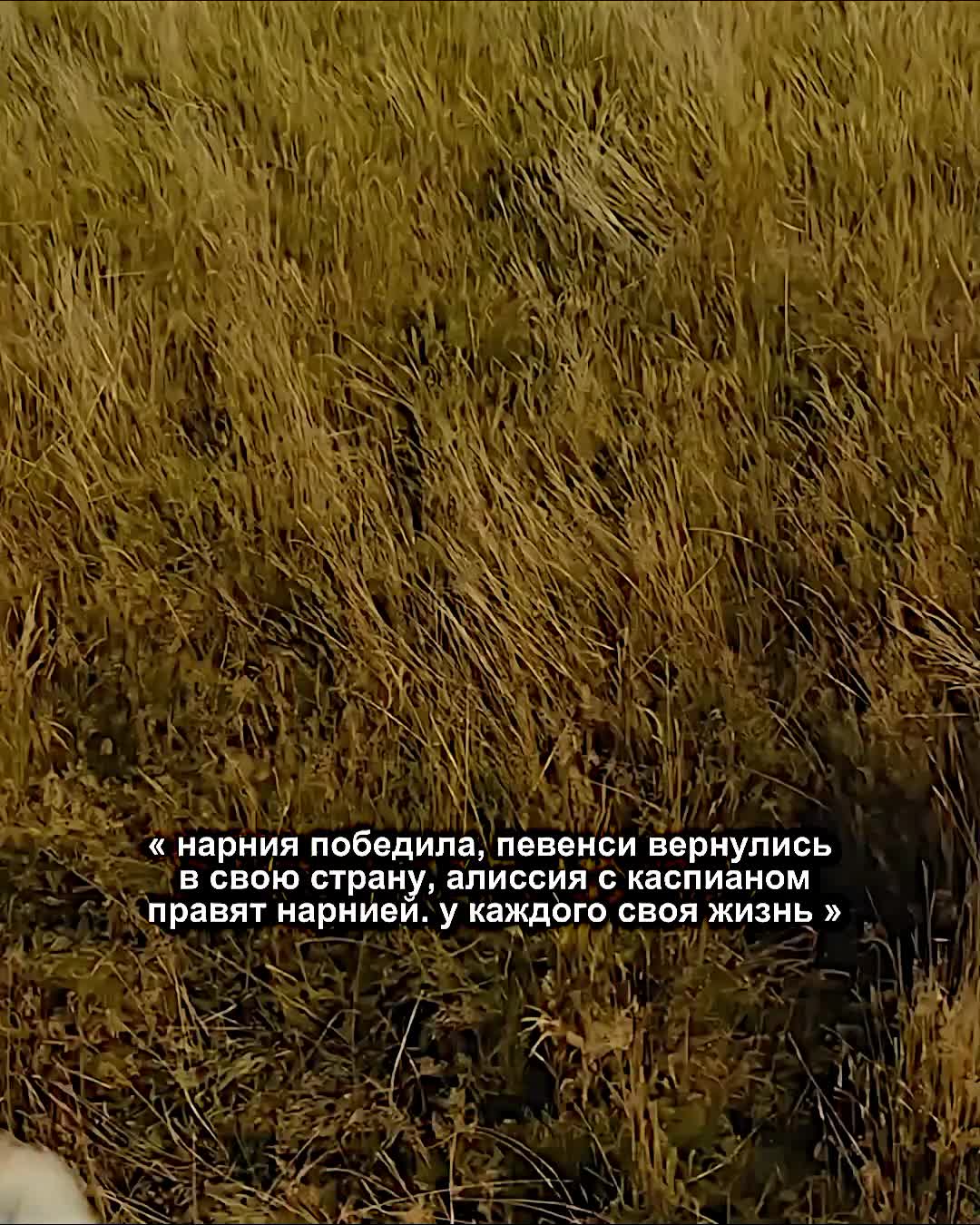 @фисташка:'