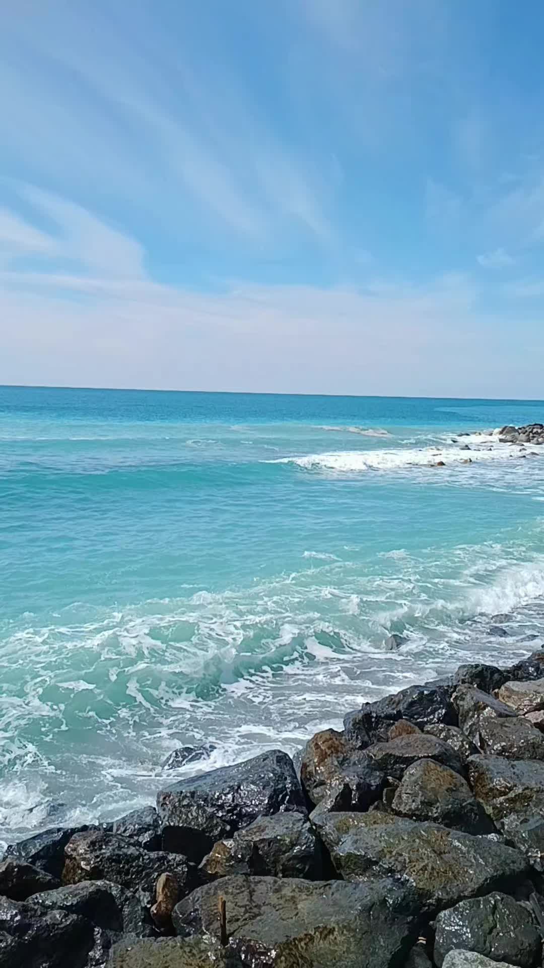 @𝘔𝘰𝘯𝘪𝘢 𝘈𝘷𝘰𝘭𝘪𝘰