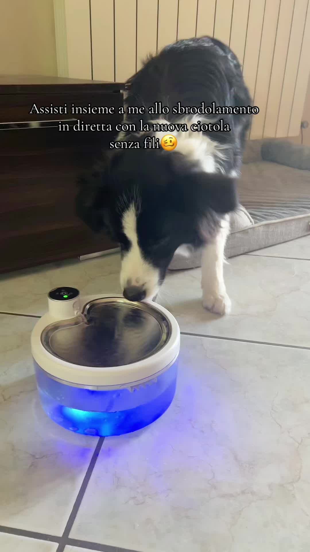 @𝓖𝓻𝓪𝓩𝓸𝓮 🫧