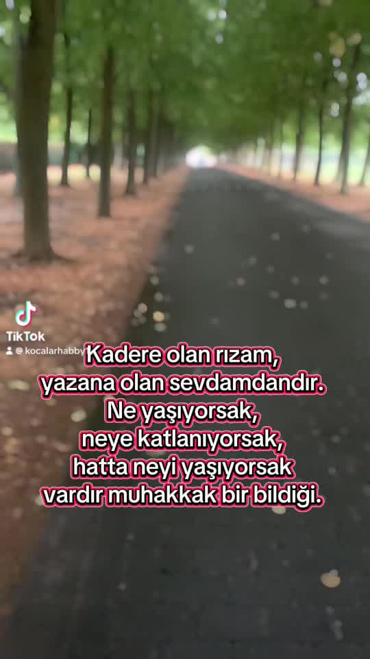 @Biricik Habby