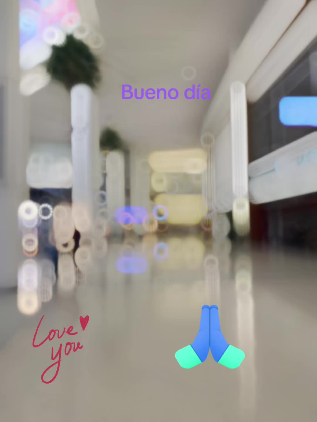 @carolicorniel6