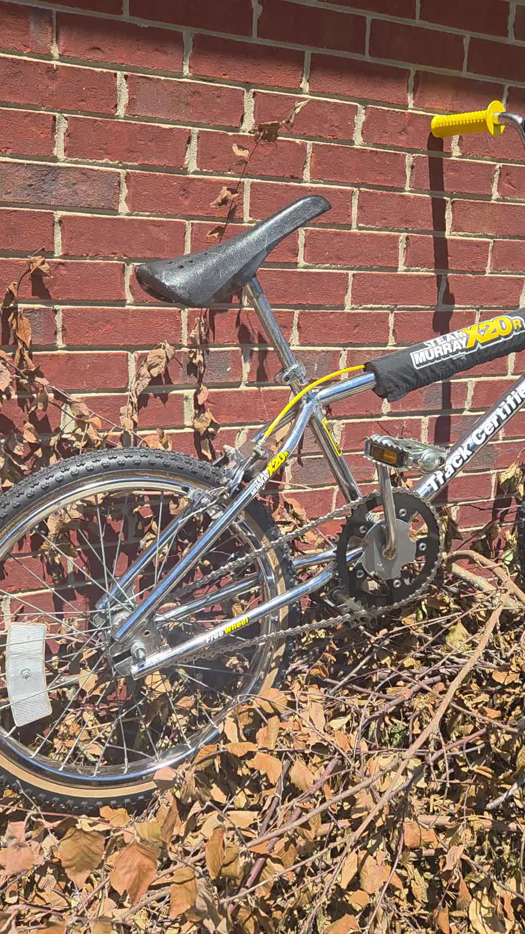@The Bike Shop.....