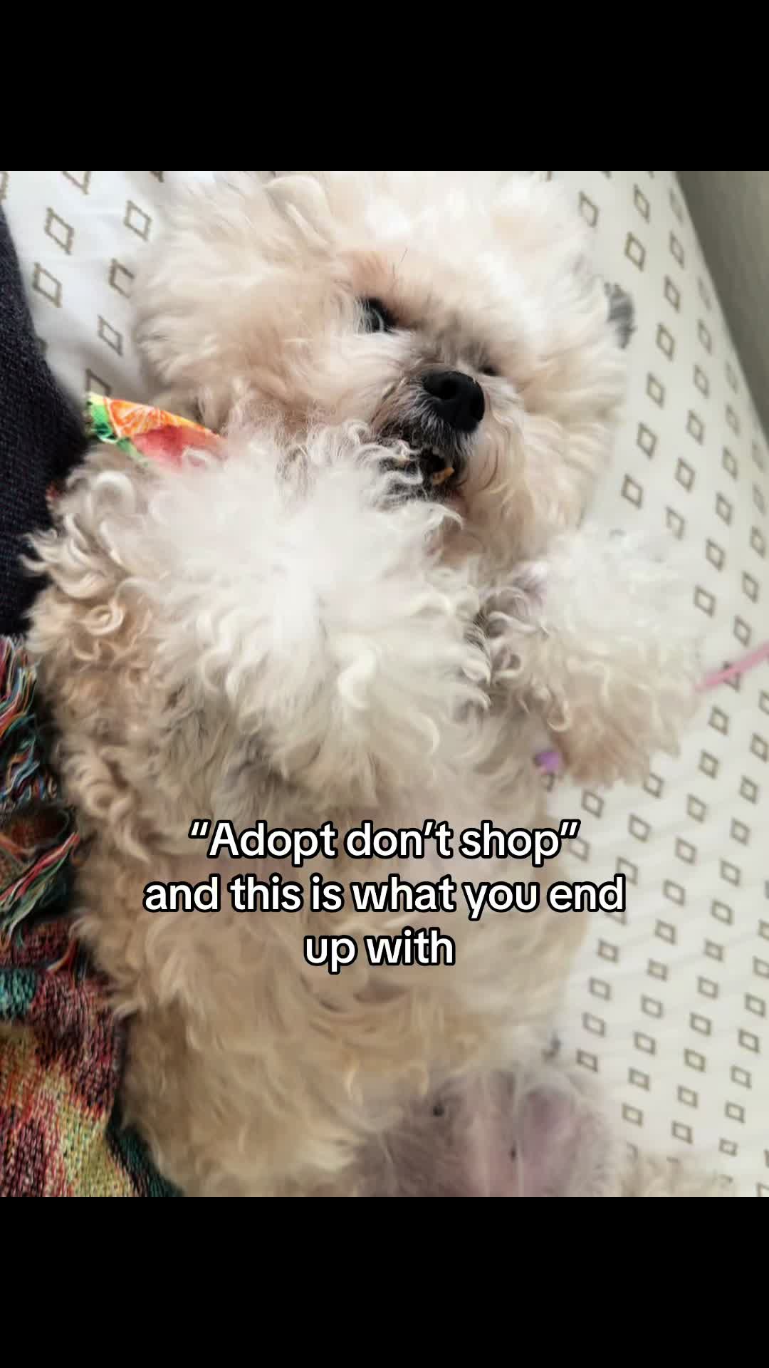 @Katie 🏳️🌈