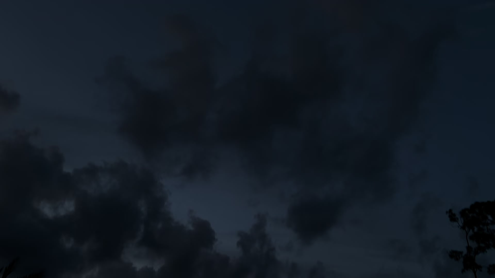 @239 M3